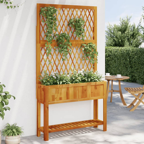 Jardinera con enrejado y estante acacia maciza 100x32x185 cm D