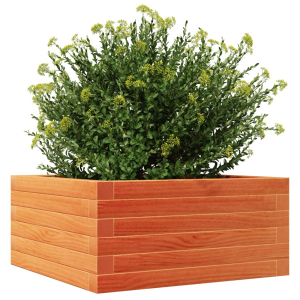 Jardinera de madera maciza de pino marrón cera 50x50x23 cm M 4