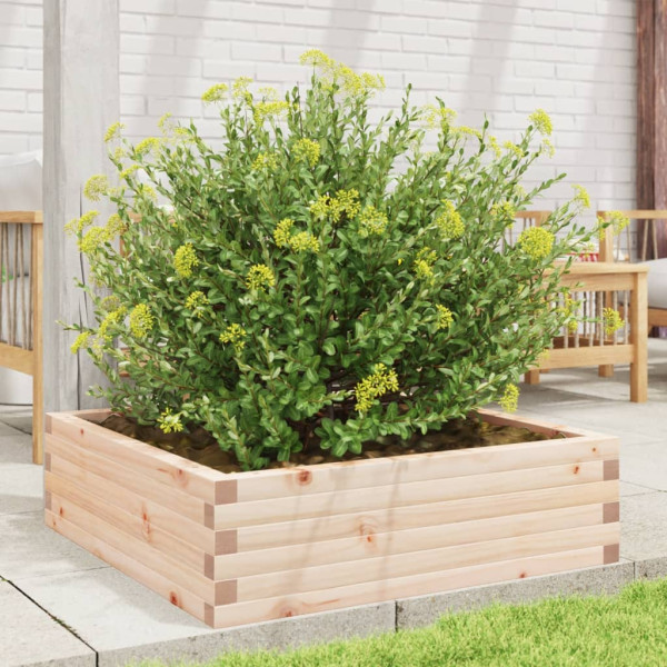 Jardinera de madera maciza de pino 80x80x23 cm M 3
