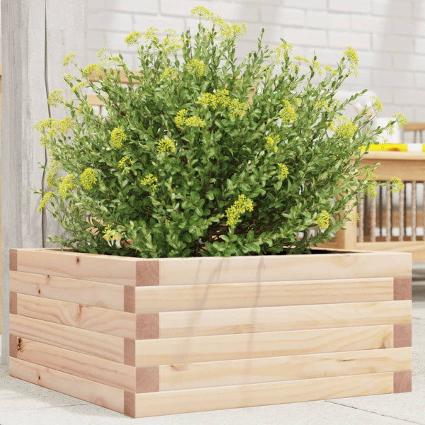 Jardinera de madera maciza de pino 50x50x23 cm D