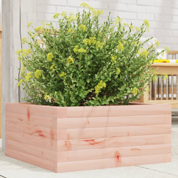 Jardinera de madera maciza Douglas 50x50x23 cm D