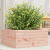 Jardinera de madera maciza Douglas 50x50x23 cm 1