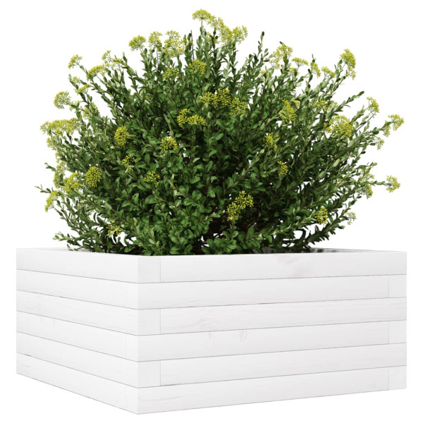 Vaso/floreira de jardim 50x50x23 cm pinho maciço branco M 4