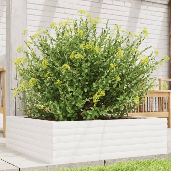 Jardinera de madera maciza de pino blanca 80x80x23 cm D
