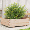 Jardinera de madera maciza de pino 80x80x26.5 cm 1
