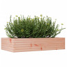 Jardinera madera maciza de abeto Douglas 110x60x23 cm 4