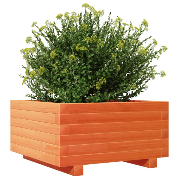 Jardinera madera maciza de pino marrón cera 50x50x26.5 cm M 4