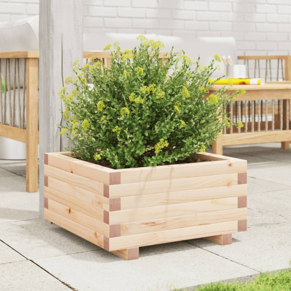 Jardinera de madera maciza de pino 50x50x26.5 cm M 3
