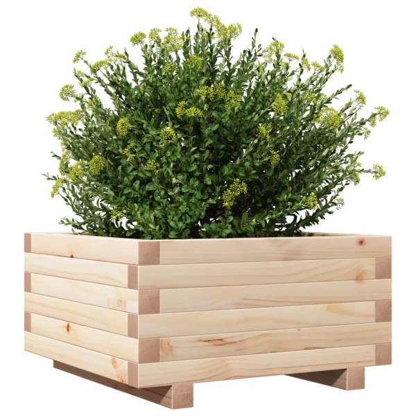 Jardinera de madera maciza de pino 50x50x26.5 cm M 4