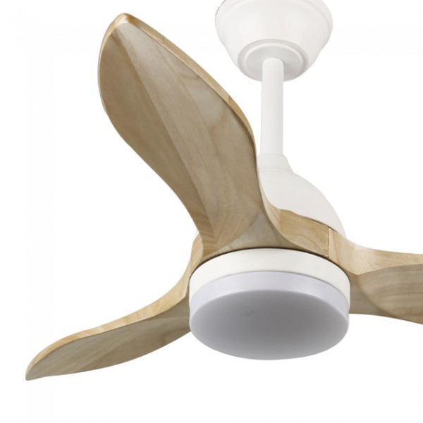 Ventilador de techo LED Tasme CCT Dim (20W) M 5