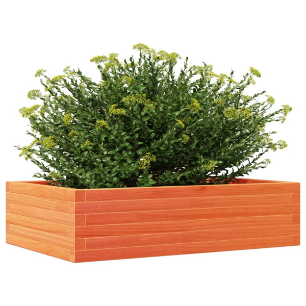 Jardinera madera maciza de pino marrón cera 90x60x23 cm M 4