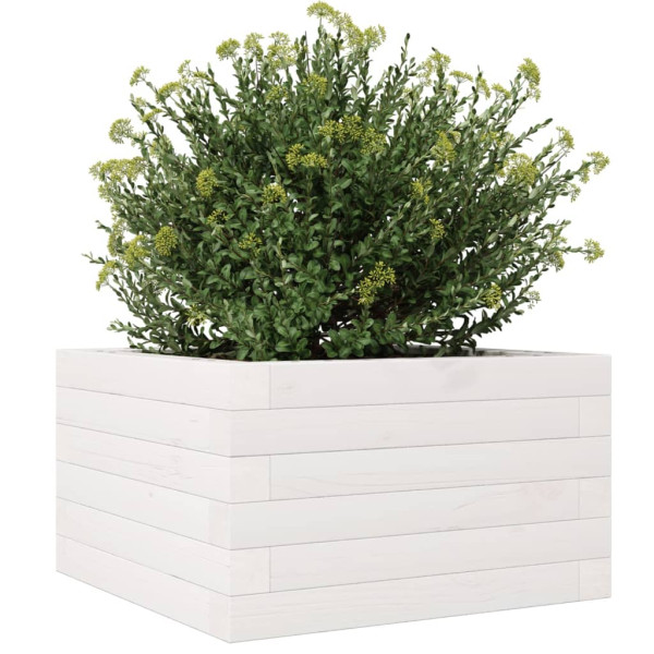 Jardinera de madera maciza de pino blanca 40x40x23 cm M 4
