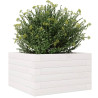 Jardinera de madera maciza de pino blanca 40x40x23 cm 4