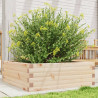 Jardinera de madera maciza de pino 70x70x23 cm 1