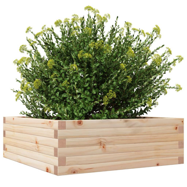 Jardinera de madera maciza de pino 70x70x23 cm M 4