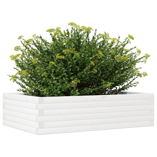 Vaso/floreira de jardim 90x60x23 cm madeira pinho maciça branco M 4