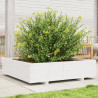 Jardinera madera maciza de pino blanco 100x100x26.5 cm 1