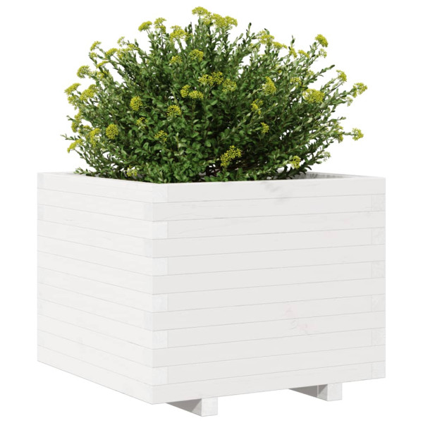 Jardinera madera maciza de pino blanco 60x60x49.5 cm M 4
