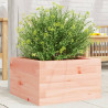 Jardinera madera maciza de abeto Douglas 40x40x23 cm 1