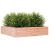 Jardinera madera maciza de abeto Douglas 100x100x23 cm 4