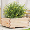 Jardinera de madera maciza de pino 60x60x26.5 cm 1