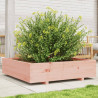 Jardinera madera maciza de abeto Douglas 100x100x26.5 cm 1