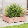 Jardinera madera maciza de abeto Douglas 100x100x26.5 cm 3