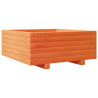 Vaso/floreira de jardim 60x60x26.5 cm pinho maciço castanho-mel 2