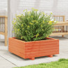 Jardinera de madera maciza de pino marrón cera 60x60x26.5 cm 3