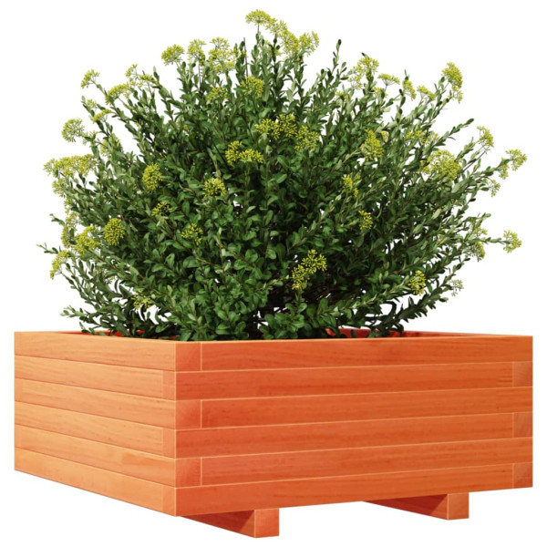 Jardinera de madera maciza de pino marrón cera 60x60x26.5 cm M 4