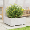 Jardinera de madera maciza de pino blanco 60x60x26.5 cm 3