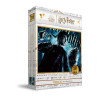 Puzle 100 efecto 3d Harry Potter y el misterio del principe 1