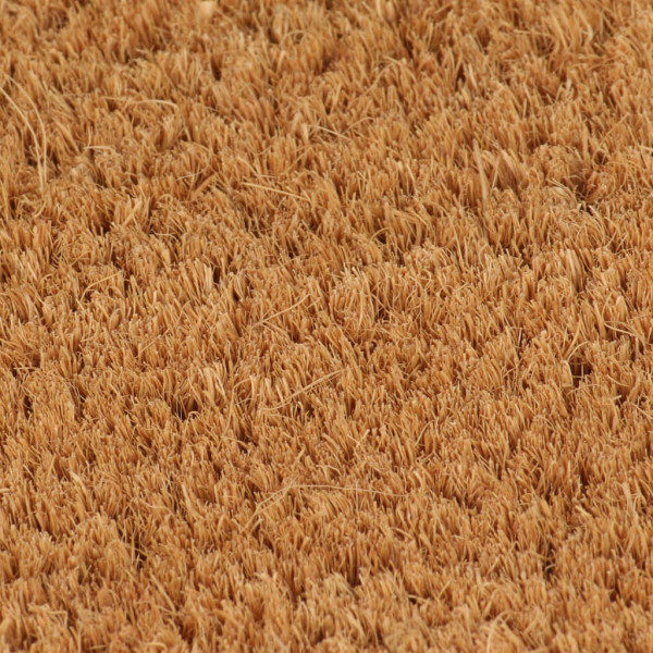 Felpudo semicircular de fibra de coco natural 60x90 cm M 4