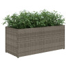 Jardim com 2 potes rattan PE cinza 72x30x32 cm 4
