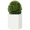 Jardineras hexagonales 2 uds acero blanco 46x40x45 cm 5