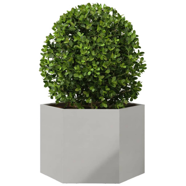 Jardinera hexagonal acero inoxidable 69x60x45 cm M 3