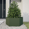 Vaso/floreira de jardim hexagonal 104x90x45 cm aço verde 2