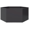 Vaso/floreira de jardim hexagonal 104x90x45 cm aço preto 1