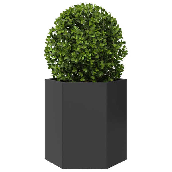 Jardineras hexagonales 2 uds acero negra 46x40x45 cm M 5