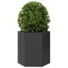 Jardineras hexagonales 2 uds acero negra 46x40x45 cm 5
