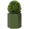 Vaso/floreira de jardim hexagonal 46x40x45 cm aço verde 3