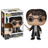 Funko pop harry potter harry potter 1