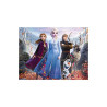 Puzzle lenticular prime 3d disney frozen personajes 500 piezas 2