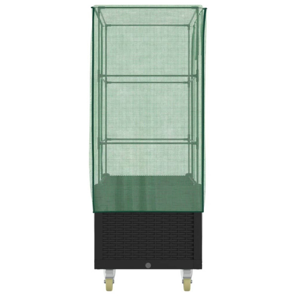 Canteiro de flores com cobertura de estufa em vime 80x50x182 cm M 5