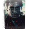 Libreta efecto 3d sd Toys Harry Potter cara Harry Potter 1