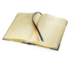 Libreta diario The Noble Collection Harry Potter Hufflepuff 3