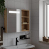 Mueble de baño con espejo y luz LED roble 60x13x52 cm 1