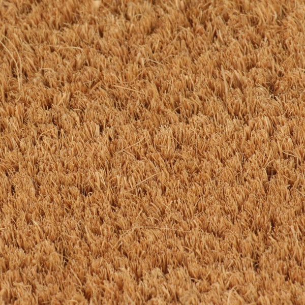 Felpudo semicircular de fibra de coco natural 60x90 cm M 3