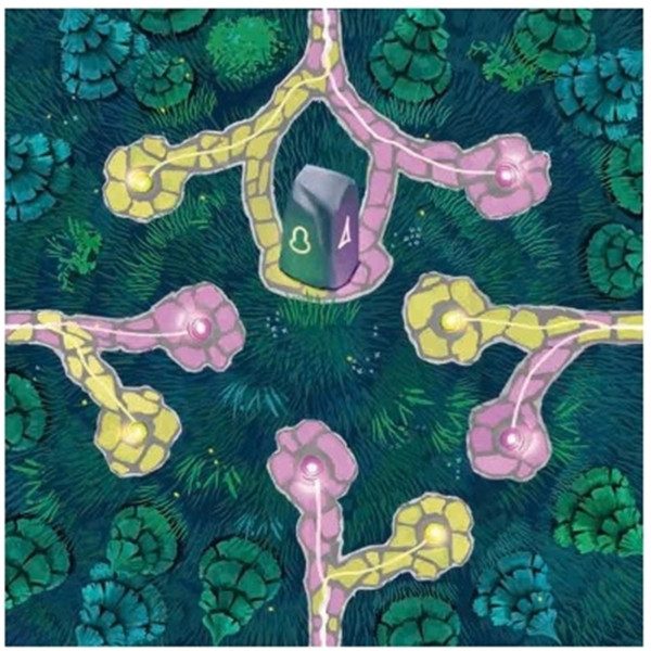 Jogo de cartas trilhas de fadas em espanhol M 2