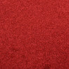 Felpudo rojo 60x80 cm 5